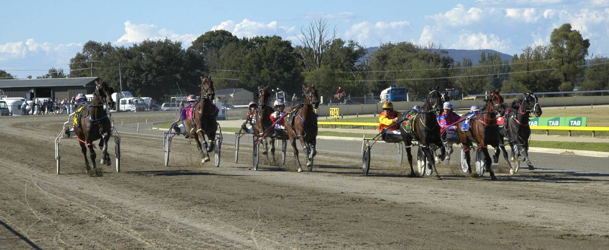 LEADING: charging home in the Walla Walla Stakes is Amy Day, driving Magic Bliss. Photo: Greig Lord. 