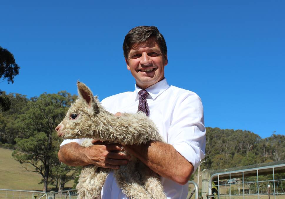 GOOD START: Angus Taylor with a week-old cria from Canyonleigh’s Birrong Suri Alpaca stud. 
