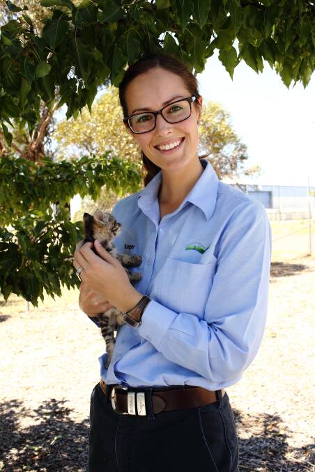 NEW FEES: Kitten ‘Little One’, with local ranger services coordinator Jemma Reid, could find a new home sooner under lower fees. Photo Brittany Murphy