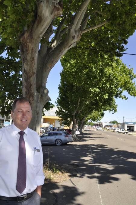  URBAN CURSE: Car dealership owner-manager Kieran Davies says an avenue of plane trees is causing extensive damage to infrastructure and flooding. He will pay for their replacement