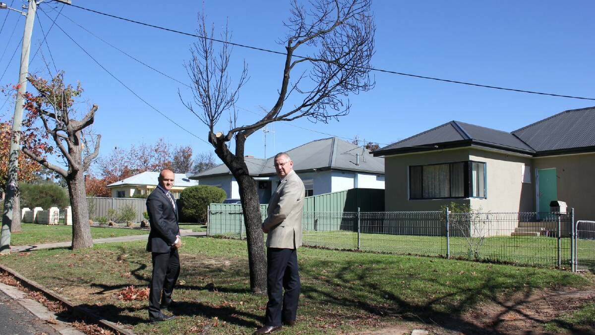 NOT HAPPY: Goulburn Mulwaree Mayor Geoff Kettle and Council’s Director of Operations Matt O’Rourke inspecting one of the pruned trees in Adam St, West Goulburn.