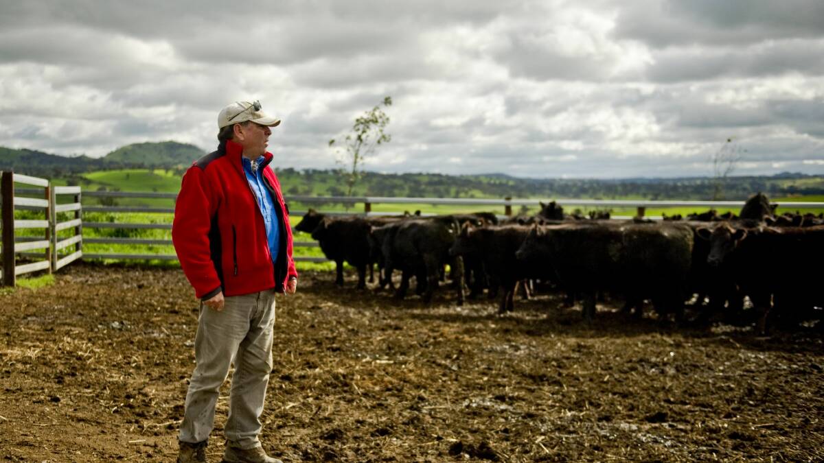 PAY DAY: The property of Yass businessman Brendan Abbey will house a multi-million dollar livestock selling centre. Photo: Jay Cronan, The Canberra Times.