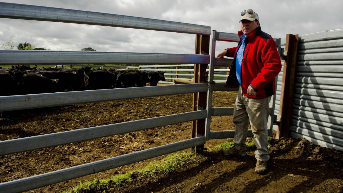 PAY DAY: The property of Yass businessman Brendan Abbey will house a multi-million dollar livestock selling centre. Photo: Jay Cronan, The Canberra Times.