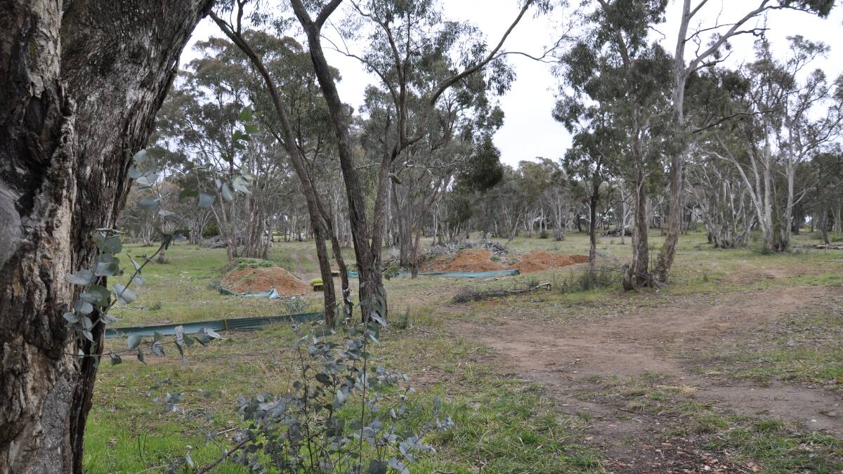 GREEN PRESSURE: The council has approved a 20-lot residential subdivision to be developed among bushland between Cathcart and Slocombe St, west Goulburn.