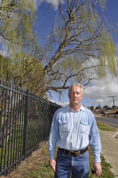 WARNING: Barry McDonald says a low leaning branch within the Wollondilly Public School grounds is an accident waiting to happen.