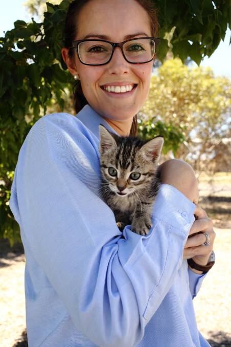 NEW FEES: Kitten ‘Little One’, with local ranger services coordinator Jemma Reid, could find a new home sooner under lower fees. Photo Brittany Murphy