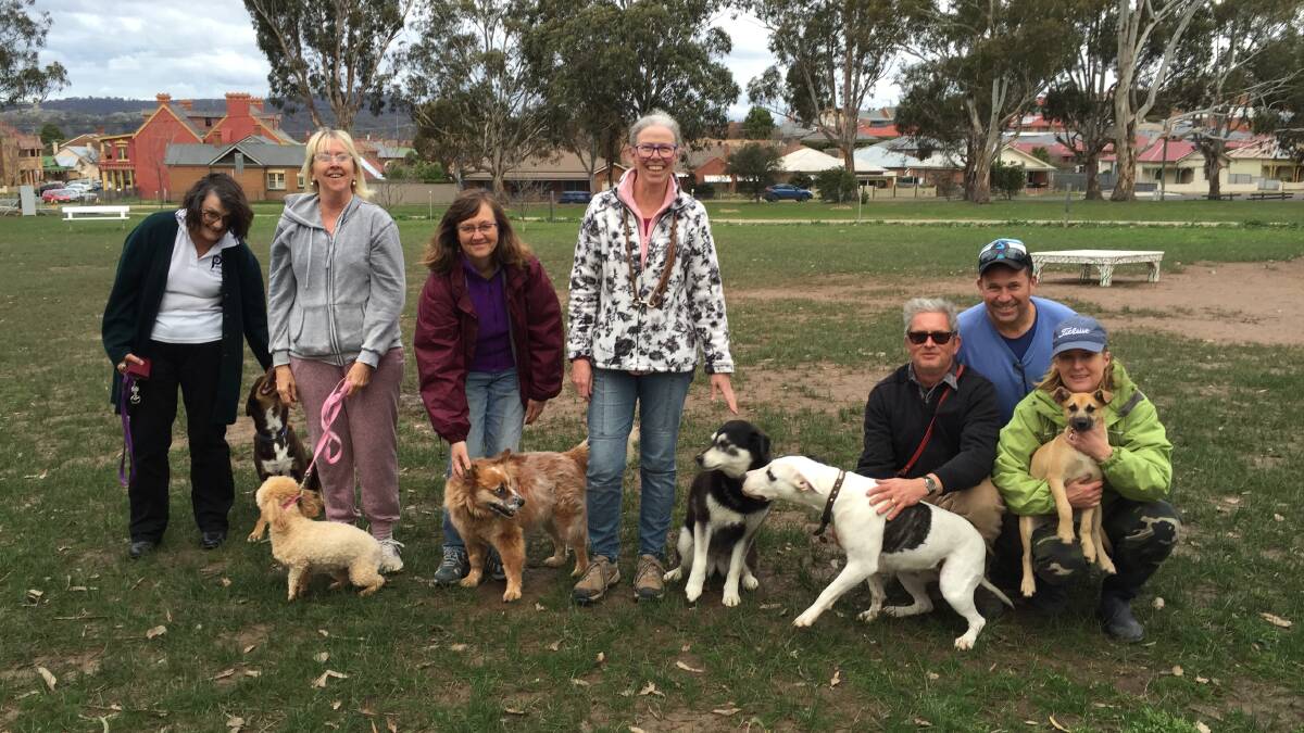 SOCIAL OUTING: Kim Mahoney and ‘Ted’,  Chris Chown and ‘Bella’, Alaine Cohen and ‘Ruby’, Natalie Jeffrey and ‘Mischa’, Guy Finnie and ‘Flossie’, and Melinda and Mark Salmon and ‘Annie’ - all enjoying each other’s company at the Victoria Park off leash dog area on Friday afternoon.  