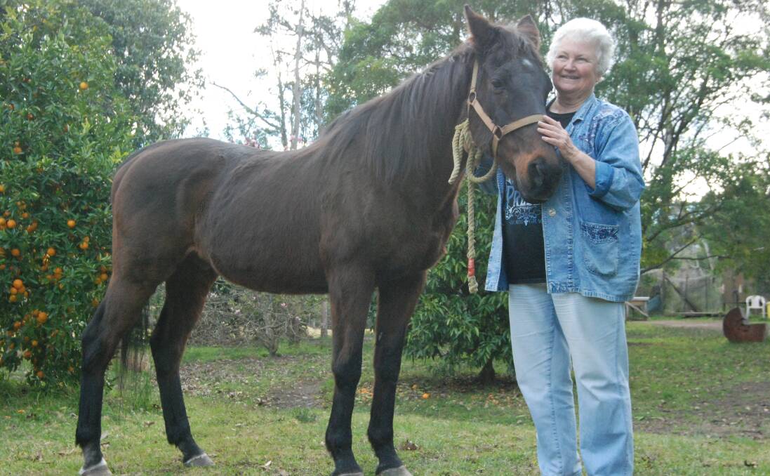 35-year-old thoroughbred Stanton with new owner Carol Osling. 