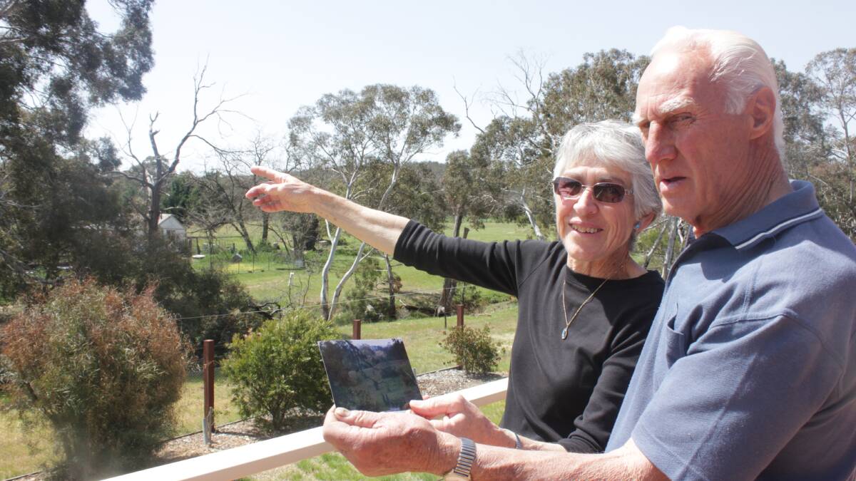 MYSTERIOUS ANIMAL: Jeff and Ruth Gulson point to where they spotted the mysterious black figure from their balcony which overlooks a valley and bushland. Photo: Chris Clarke