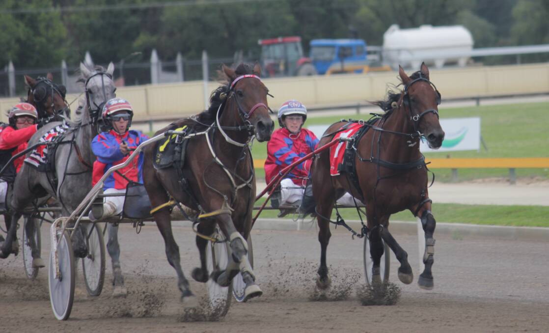 TIGHT FINISH: Local trainer Amy Day managed to hold out Victoria based trainer Amanda Turnbull in race five yesterday afternoon. The two ladies, along with Lauren Panella, led the way with six of the eight races won by female drivers. Photo: Chris Clarke