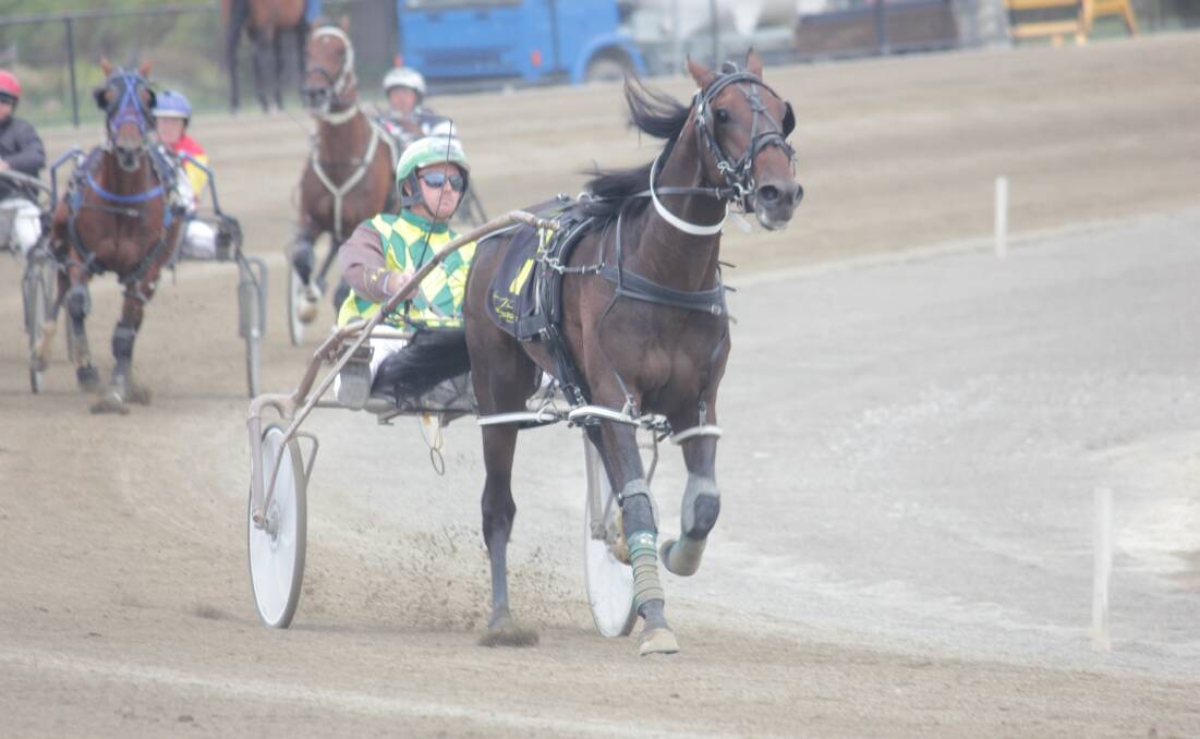 Brad Hewitt driving Spare Me Days, turns into the final straight miles ahead of the rest of the pack in Monday's $6120 Race 3 at the Goulburn Paceway. Photo: Chris Clarke.