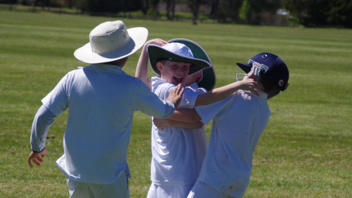 CELEBRATE:
Budding cricketer
Jack Yeadon
celebrates a wicket
in the under-10
Super 8 cricket
match between
Wollondilly Gold
and Green. Photo:
Darryl Fernance.