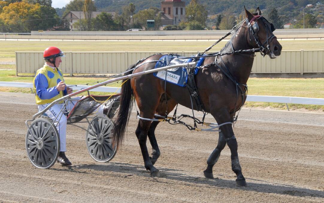 HOMETOWN: Goulburn
favourite Magic Bliss will
be hoping for a
hometown advantage.
Photo: supplied