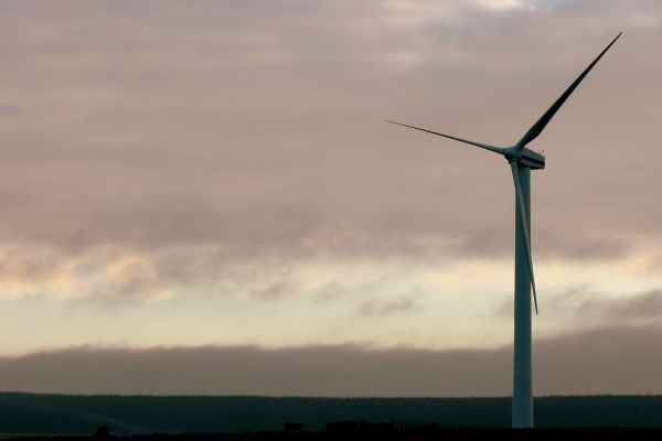 Wind farm company revises Golspie sites