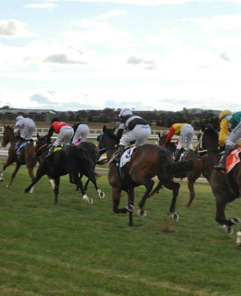 HALF-DAY AT THE RACES: In a mayoral Minute, Cr Kettle says Council should apply to Industrial Relations NSW to have the afternoon of March 16, next year, declared a half-day holiday for the Goulburn 149th Birthday Cup meeting.