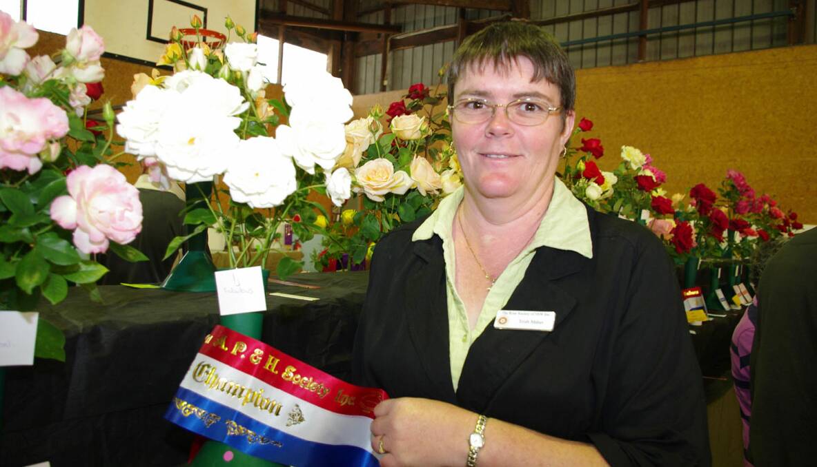 Champion Goulburn rose grower Trish Maher with one of her award-winning exhibits at this year’s show. Photo: Darryl Fernance 