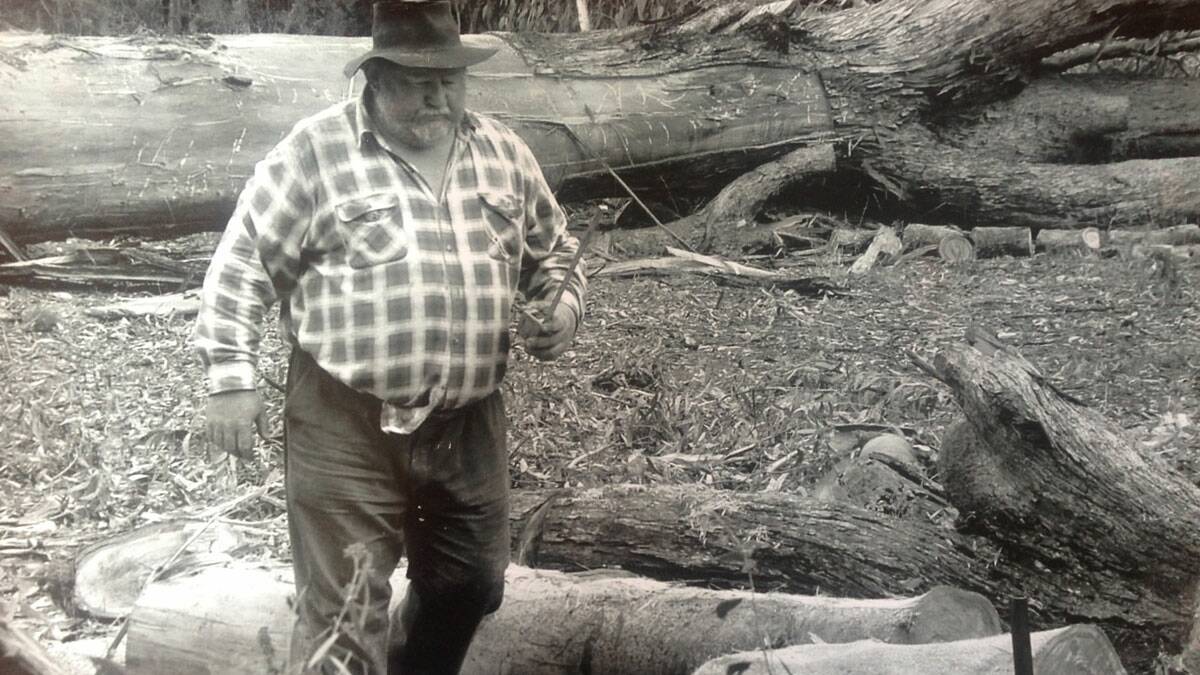 Tag Partridge, father of Candy Jubb, here cutting logs for fence posts on his property in northern NSW.  You'll never see him do something the easy way.