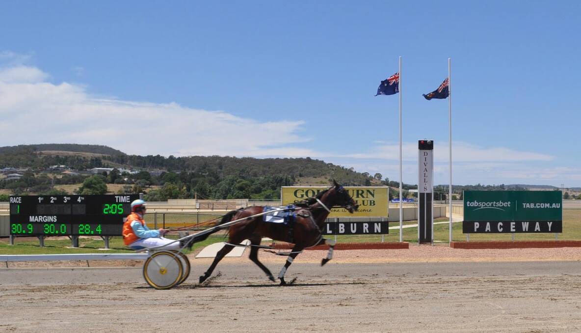 Sign Of Perfecshon wins the first race on the Goulburn Harness Racing Club’s Christmas Eve program after a masterful front-running driving display by Scott Hewitt. Photo: Gerard Walsh 