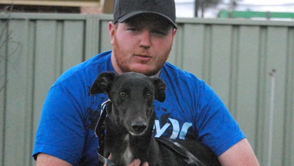 Hard work is paying off for up-and- coming greyhound trainer  