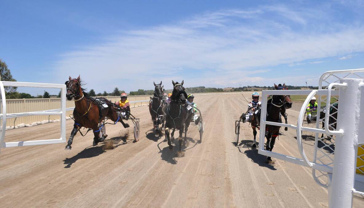 They’re pacing ... the mobile barrier clears away during the start of the second at Goulburn on Christmas Eve. Photo: Gerard Walsh 