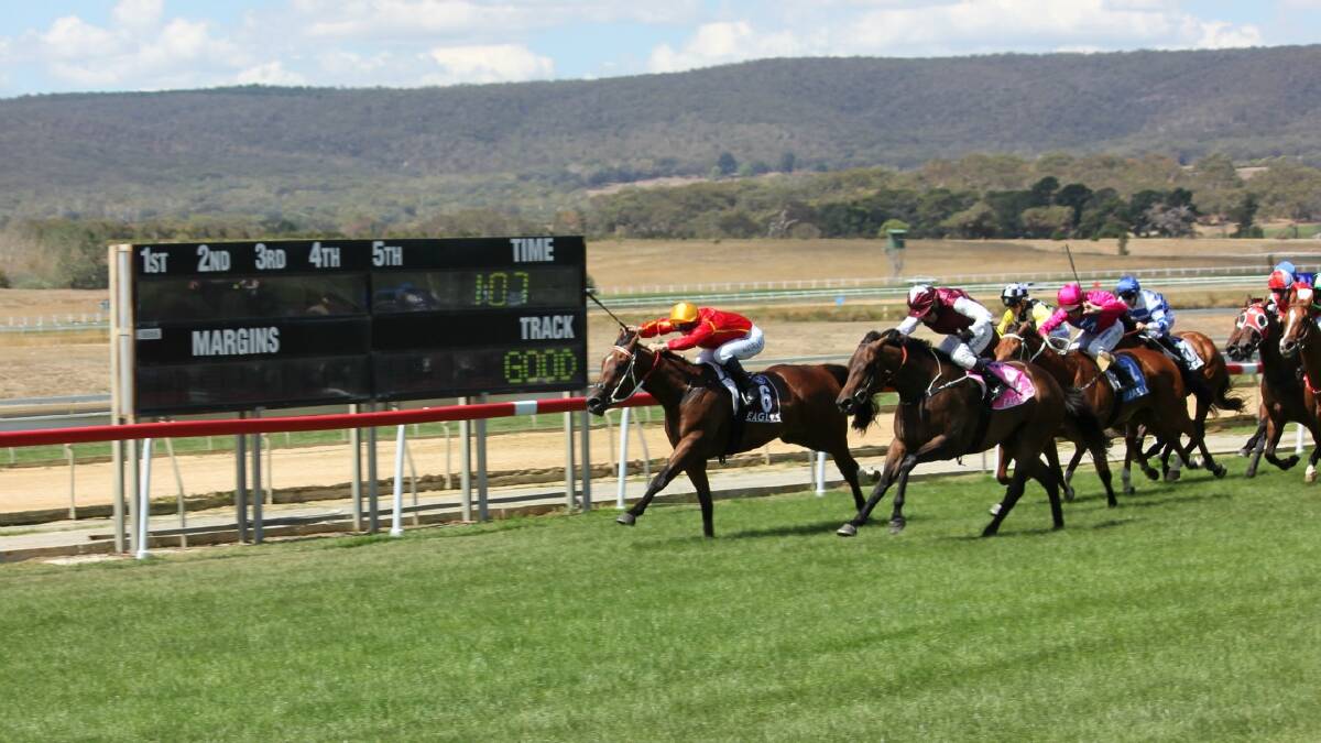 Ameliorate, ridden by Rod Quinn,makes a move down the outside en route to claiming race four on Thursday.