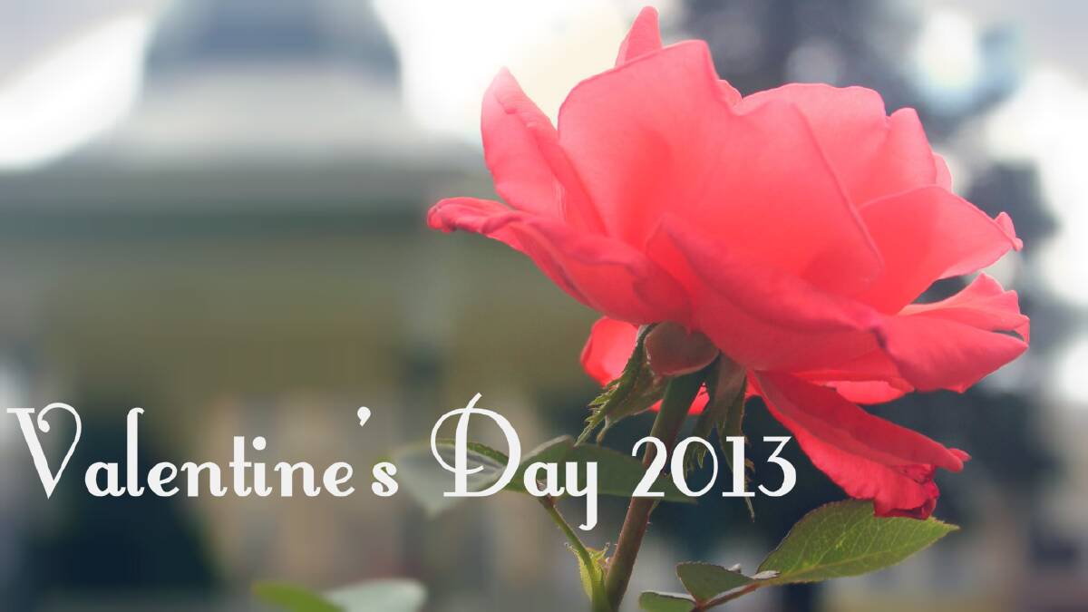Valentine's Day 2013: The hub