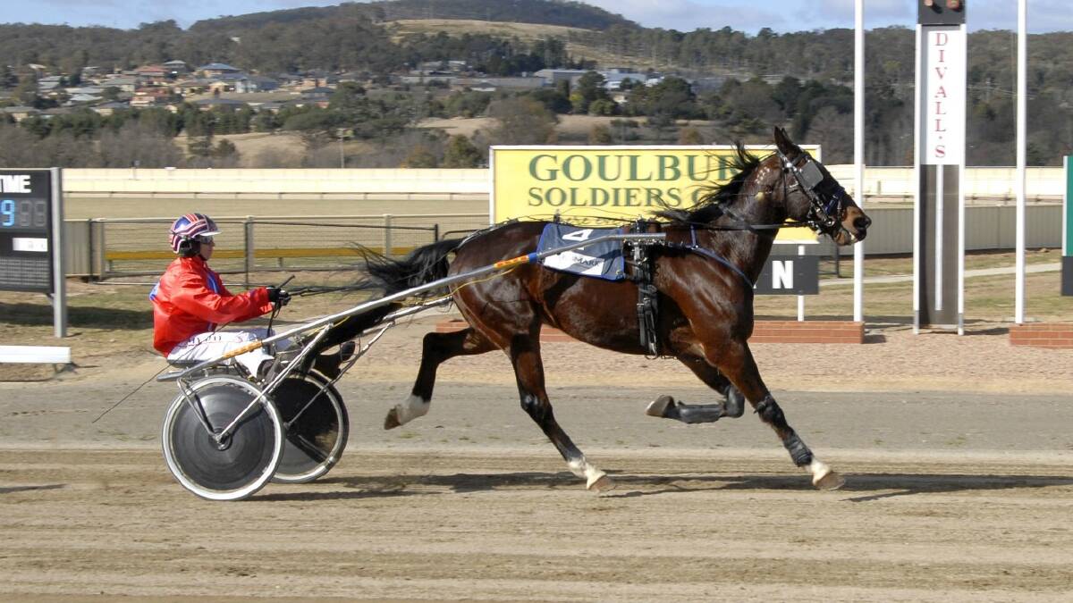   FORM LIFT: Pap Camelot winning at Goulburn during July with Amy Day driving. He is striving to get back into the winners circle after a few unplaced recent efforts. 