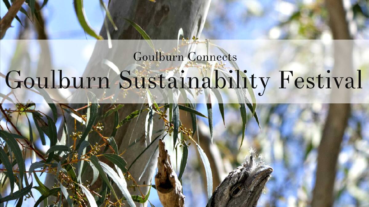 Goulburn Sustainability Festival: All you need to know