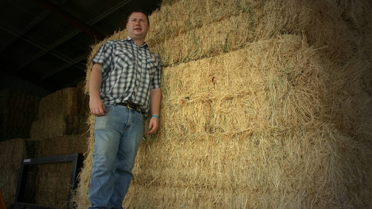  HAY IT’S DRY: Manager of Fife’s Stock Feeds in Knox St, Mac Fife, says while it’s not “panic stations” yet, dry conditions are driving increased demand for fodder by the district’s graziers
