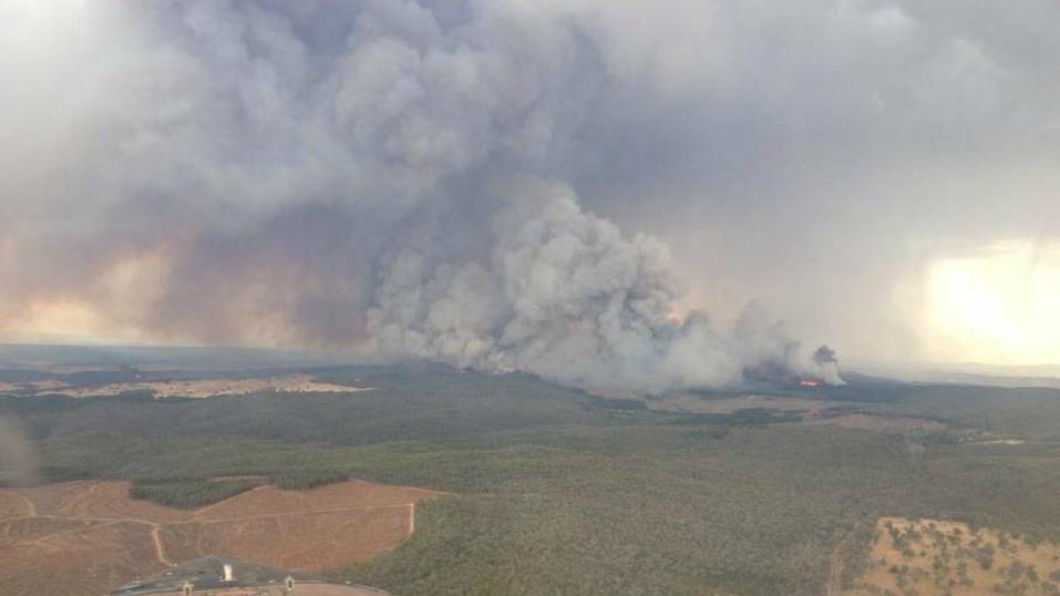 The Minnimbah fire burning in the Murraguldrie State Forest on Saturday evening. Picture: Rural Fire Service