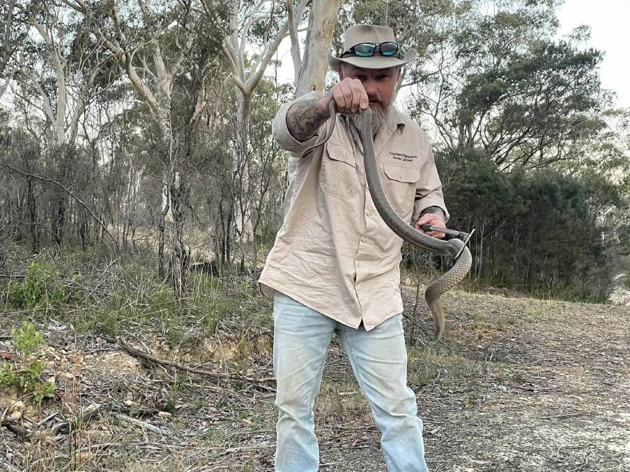 Snake catcher Ray McGibbon said it was important to stay calm if you see a snake on your property. Picture supplied 