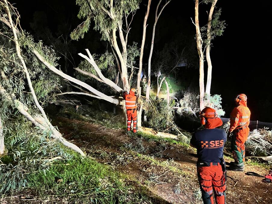 Hundreds of trees were ripped from the ground and needed to be cleared in Murrumbateman on Monday night. Picture: Supplied 