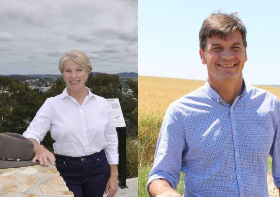 Independent candidate Penny Ackery has clashed with Hume MP Angus Taylor over the government's decision to invest over $50 million into new gas projects. Pictures: supplied
