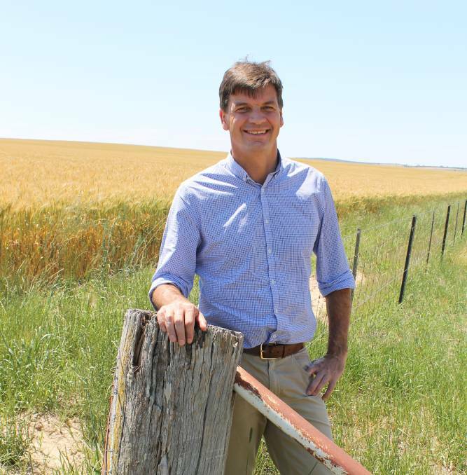 Incumbent MP for Hume Angus Taylor. Picture: supplied