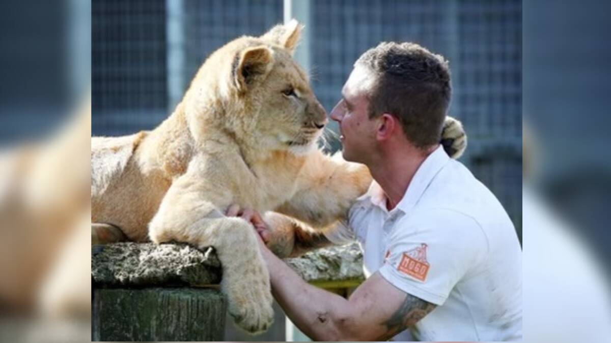 Hand-raising lions, re-population and Instagram fame: a conversation with @zookeeper_chad