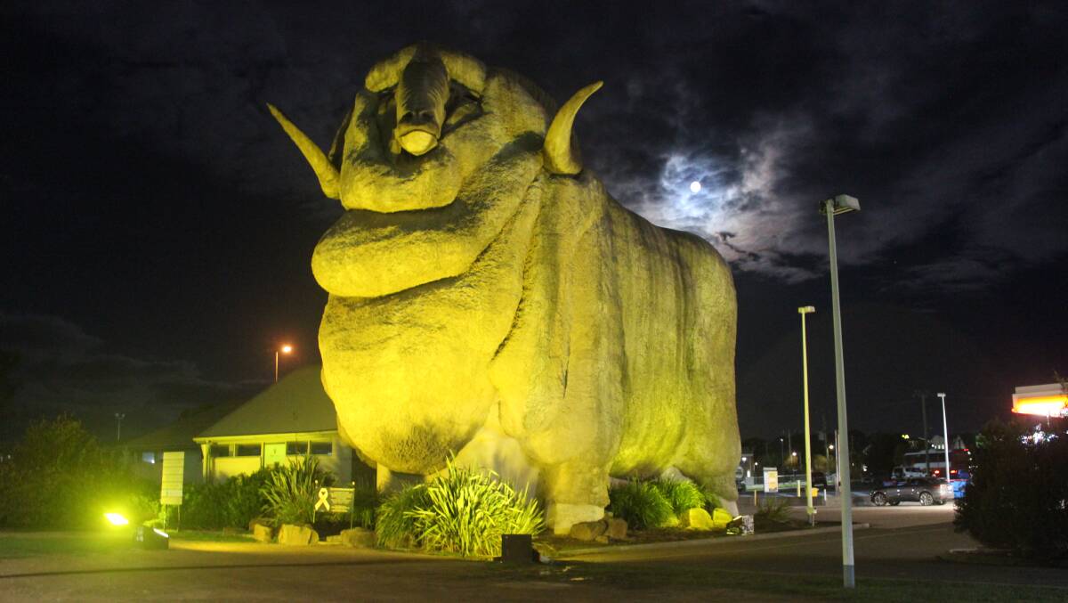 Joining other landmarks around NSW, the Big Merino will be lit up until Sunday, May 22. Photo: Sophie Bennett.
