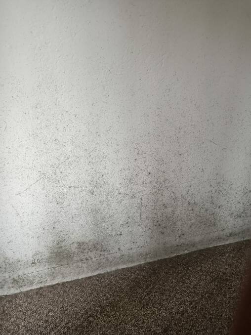 There has been an increase in mould in Goulburn houses. Picture: Rechelle Gray