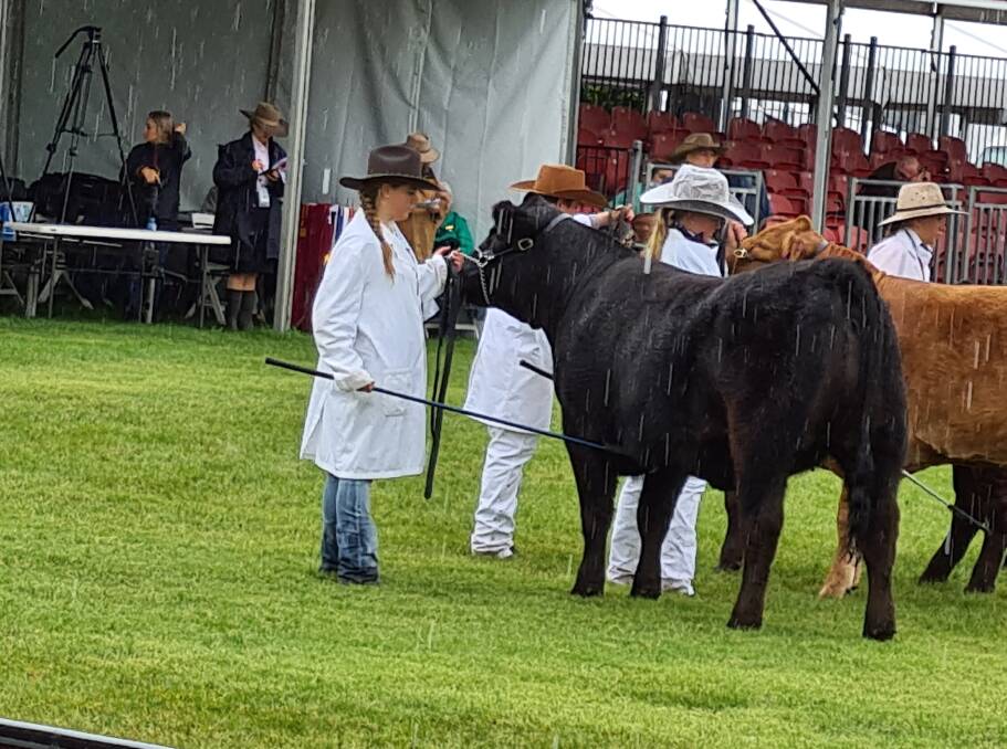 Sienna competed in a number of different competitions receiving a ribbon for each, but was most excited about placing as reserve champion in the Fitting Challenge. Photo: Supplied.