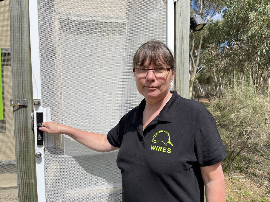 Heather Caulfield has volunteered with WIRES since 2010. Picture: Supplied