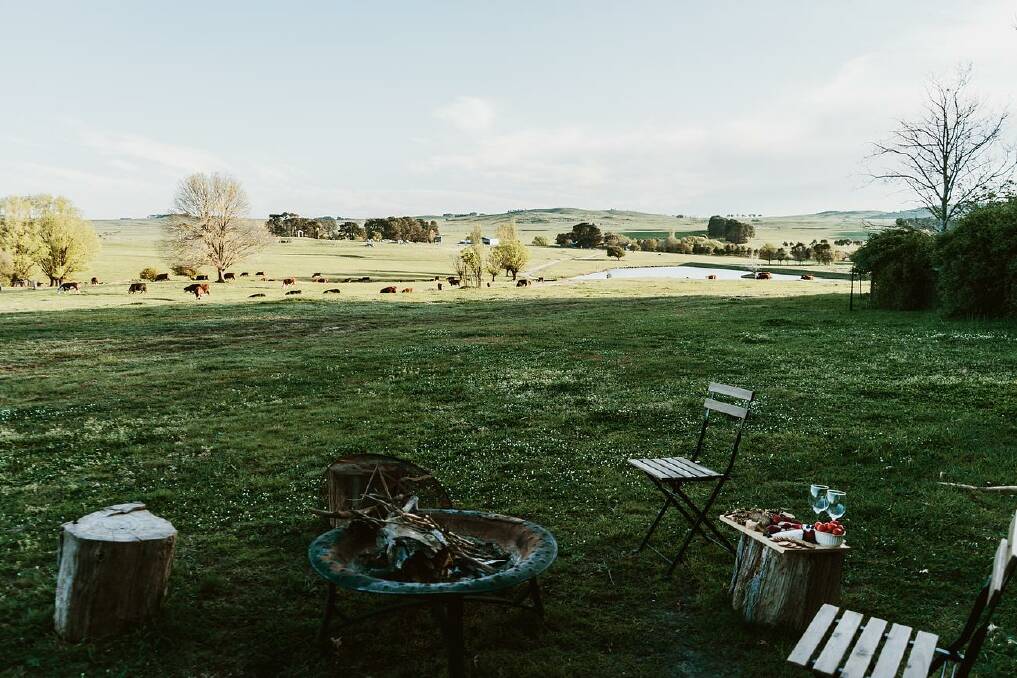 Bedervale is a working grazing farm. Photo: Supplied.