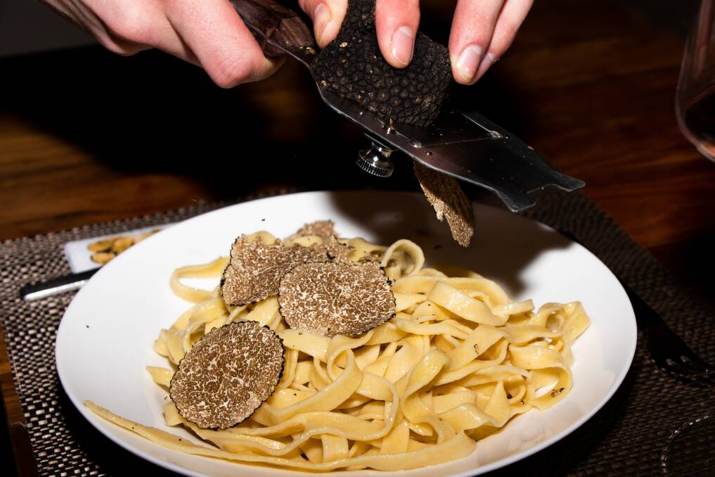 Black truffle season has begun. Photo: Vincent Drig. 