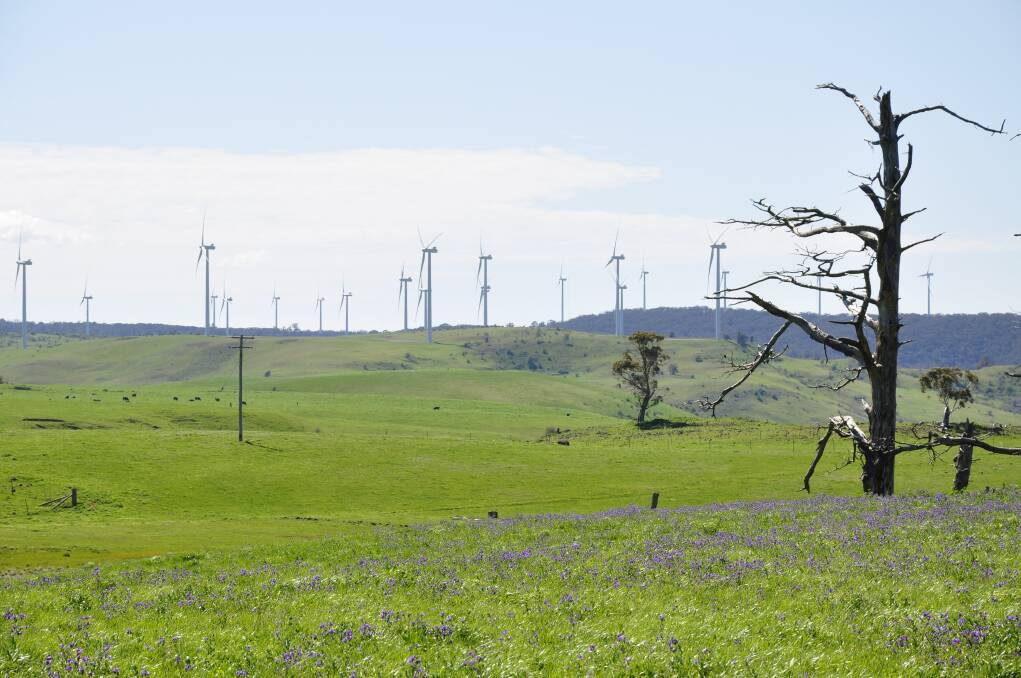 The Upper Lachlan Shire hosts around half of the wind farms in NSW. Photo: Louise Thrower.