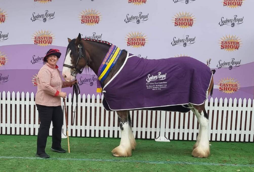 Amanda Taylor showed the horse at the show. Photo: Supplied.
