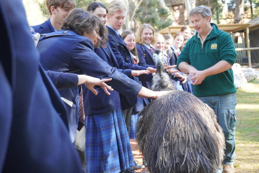 Students feeding an emu. Photo: Supplied.