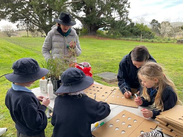 Patrice Rowe from Fullerton Hadley Landcare planting trees with students. Picture supplied