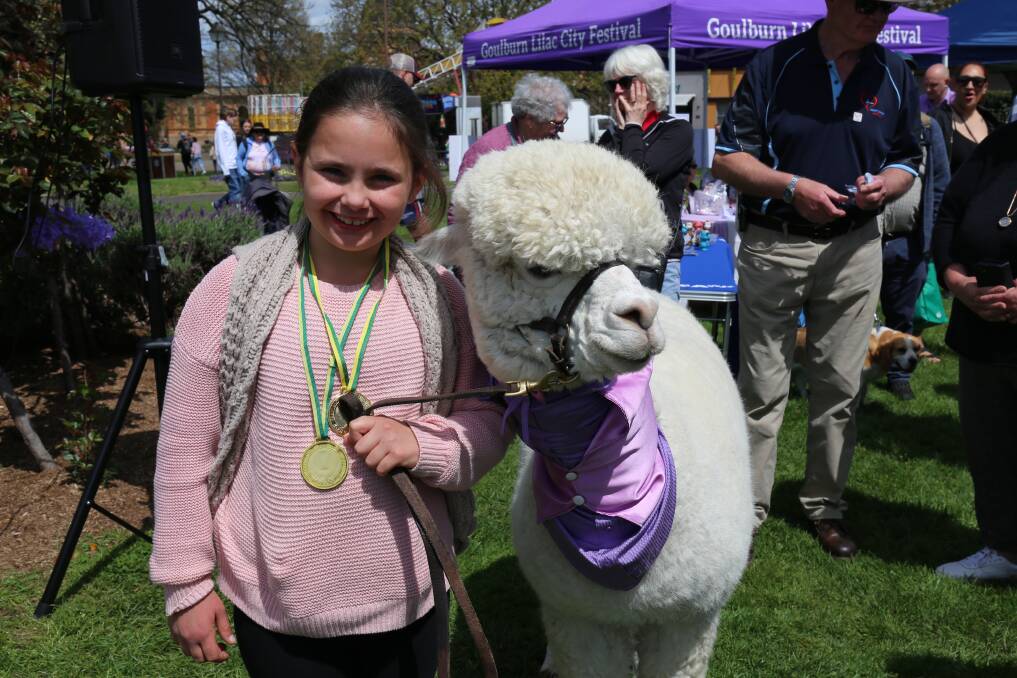 Shayla McGregor with Hephner the Alpaca - winner of the Best Largest Animal category. Picture by Sophie Bennett 