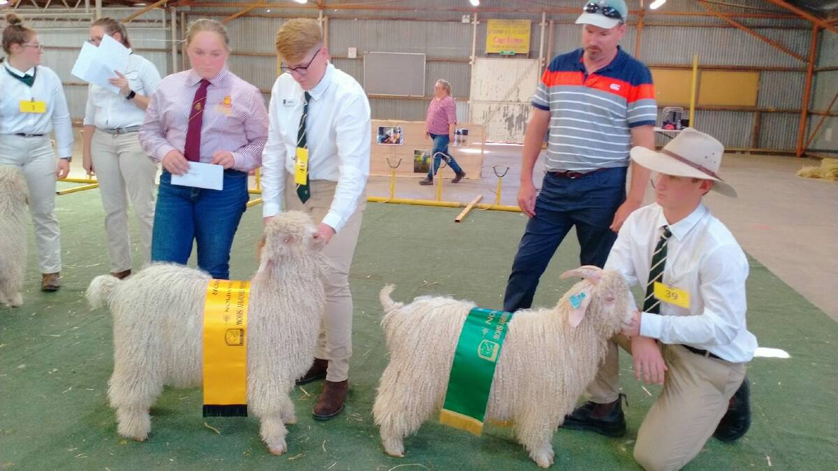 The National Angora Trophy Show and Sale is on this weekend at the Goulburn Showground. 