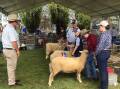 Head along to the Goulburn Show this weekend. Picture supplied