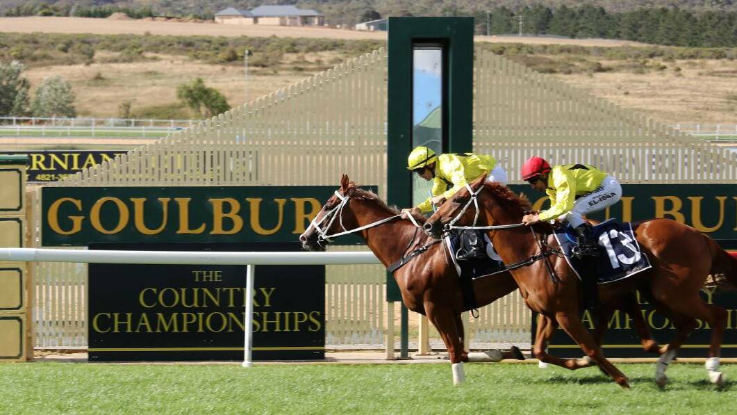 Thoroughbreds from across the region will take to the track at Racecourse Drive, Goulburn on Saturday, June 17. Picture from file.