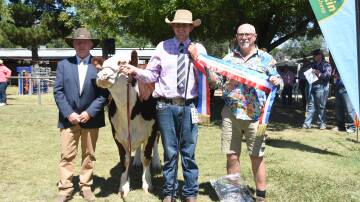 Champion Hereford Youth parader, Will Van Gend, Bathurst with judge Graham Williams, Thunderbird Ag, Windsor and Canberra show cattle committee member and event sponsor, Daryl Holder. Photo by Helen De Costa. 